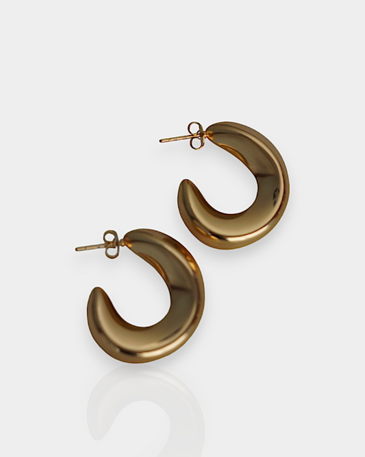 Aretes Lakshmi